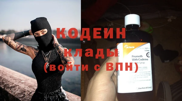 индика Баксан
