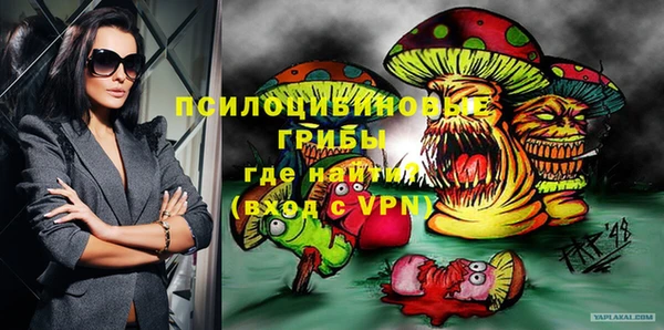 индика Баксан