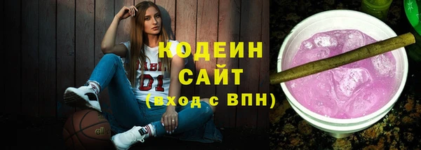 индика Баксан