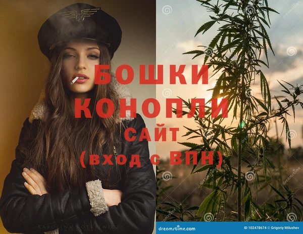 индика Баксан