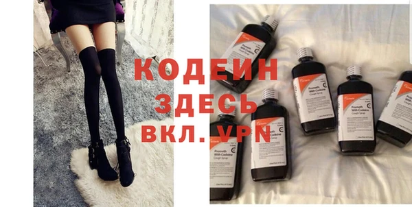 индика Баксан