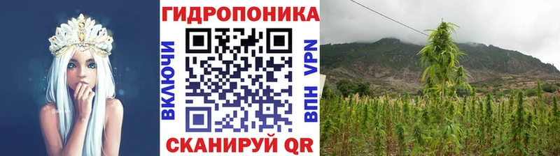 где найти   площадка какой сайт  Бошки марихуана марихуана  Белоярский 